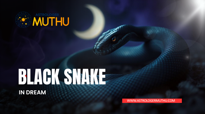 Black Snake in Dream